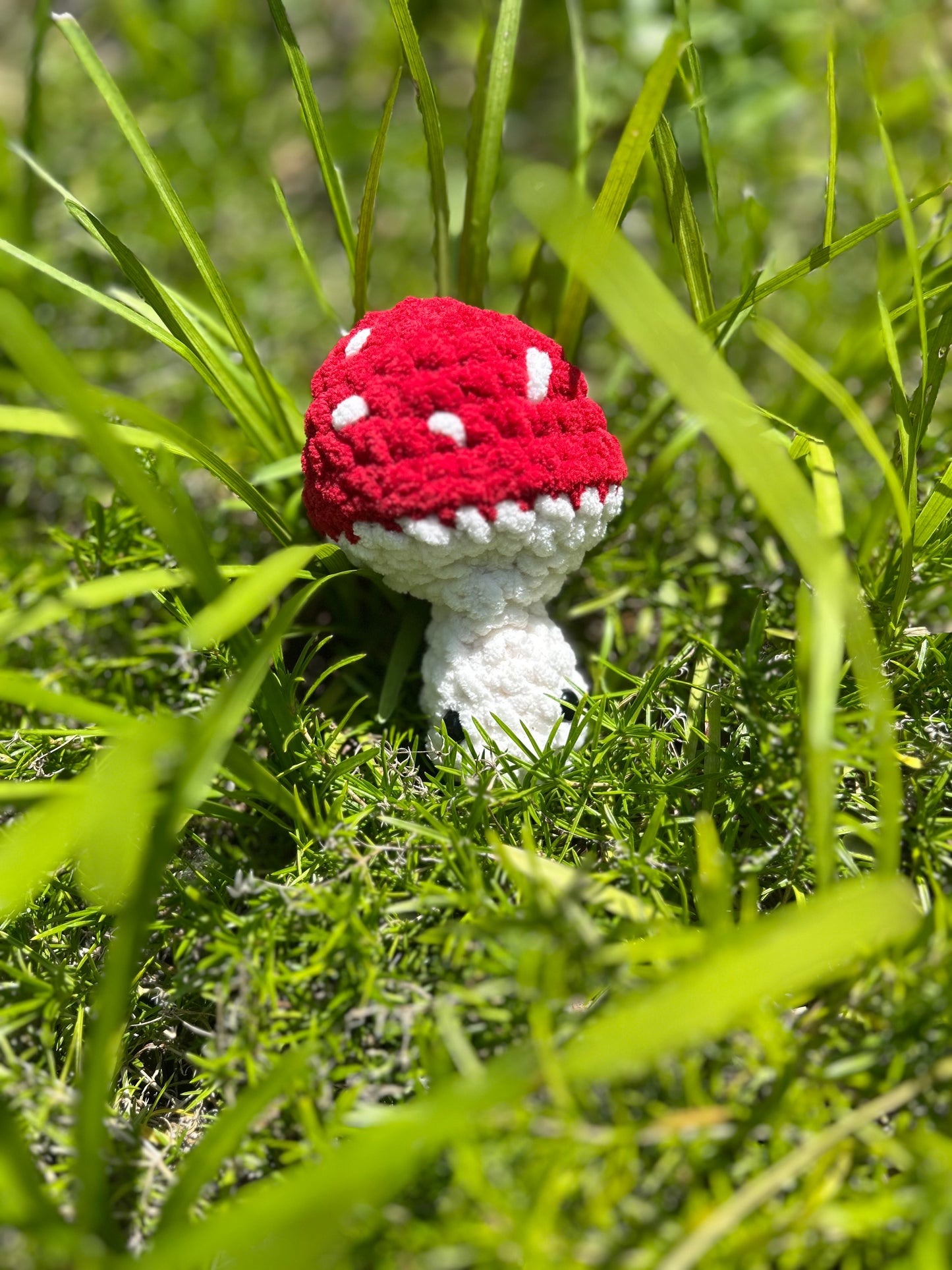 Crochet Mushroom