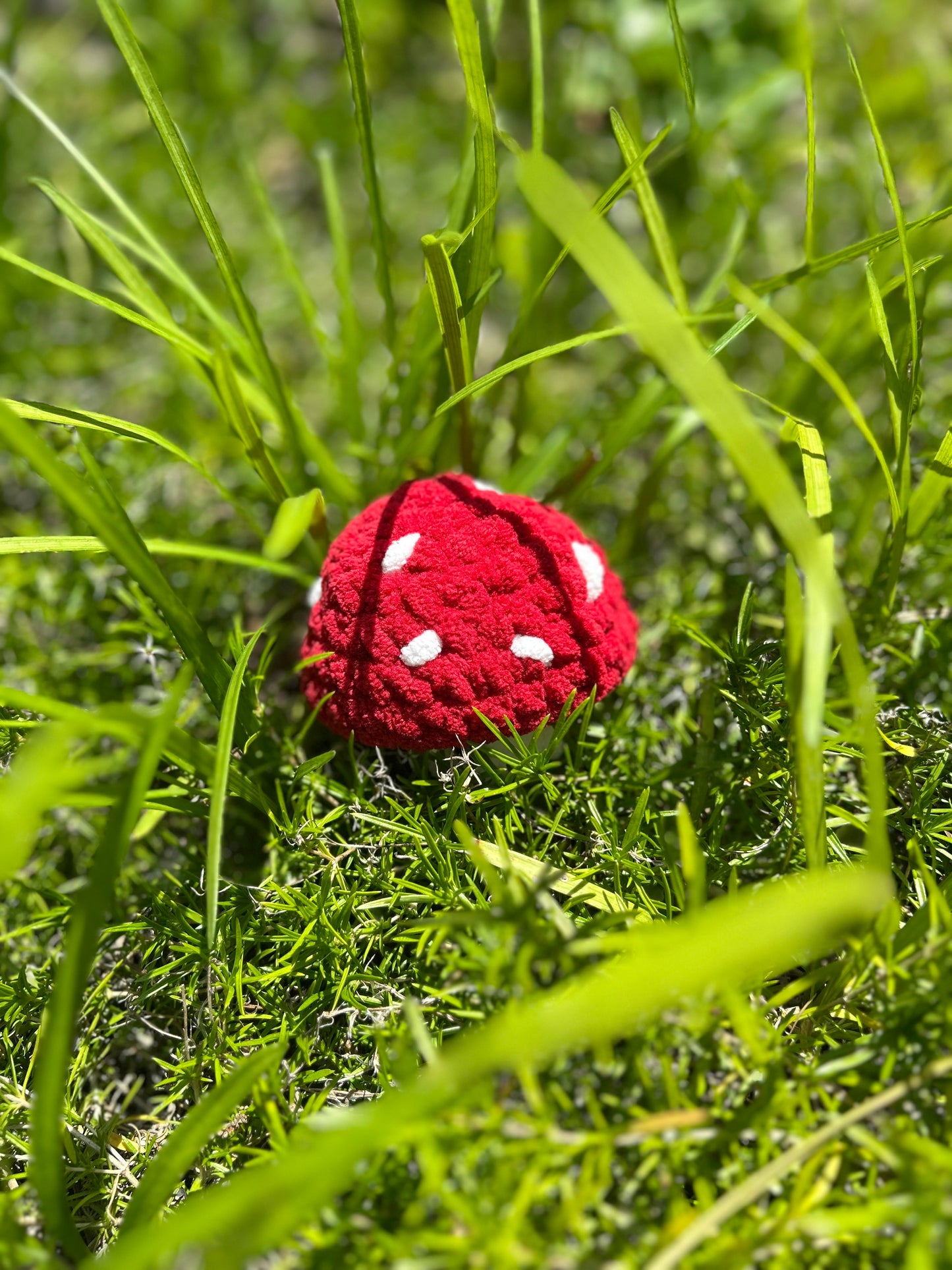Crochet Mushroom
